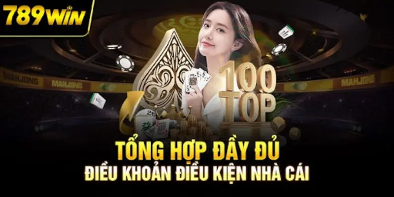 Tổng quan về điều khoản điều kiện 789WIN