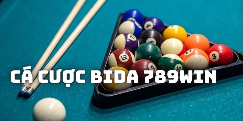 Đôi nét về bộ môn cá độ Bida của 789WIN