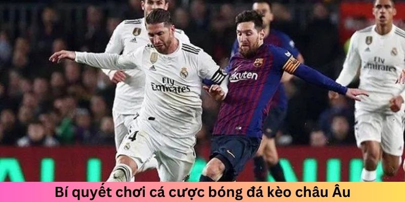 Bí quyết chơi cá cược bóng đá kèo châu Âu