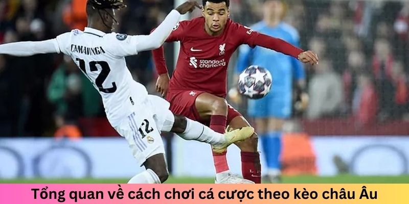 Tổng quan về cách chơi cá cược theo kèo châu Âu